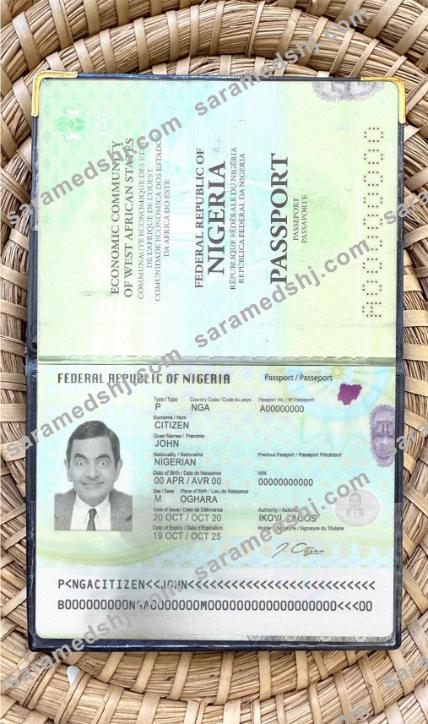 Nigeria passport (2019-present) photo look